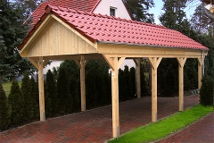 Satteldach Einzelcarport Akzent 